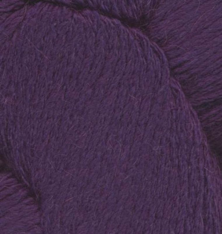 Dromedary Purple Petunia