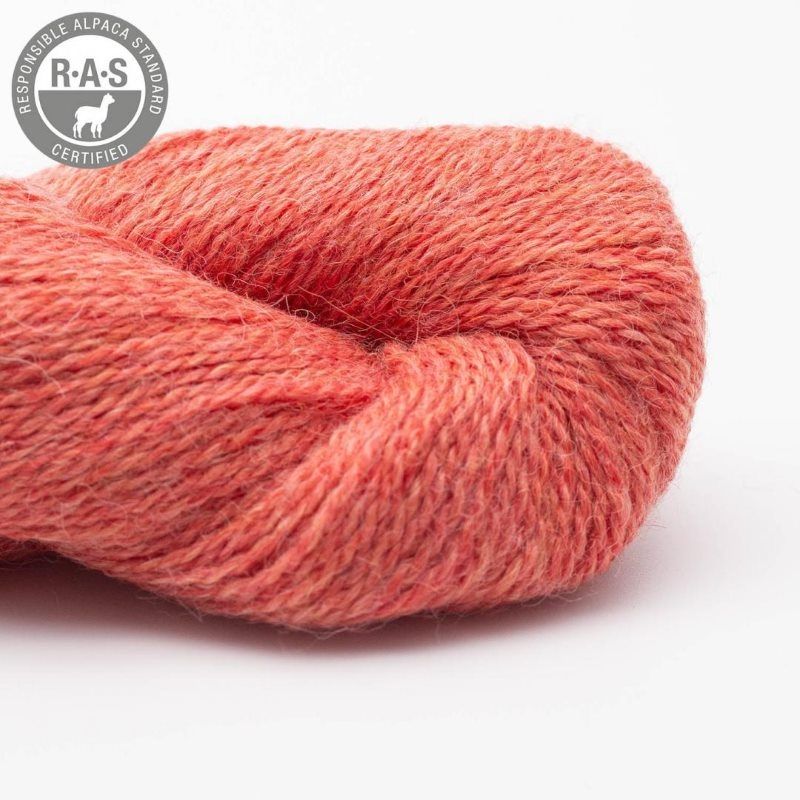 Babyalpaca- Korall RAS